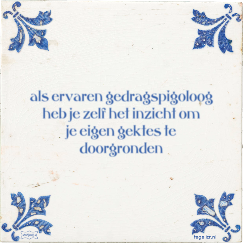 als ervaren gedragspigoloog heb je zelf het inzicht om je eigen gektes te doorgronden - Online tegeltjes bakken