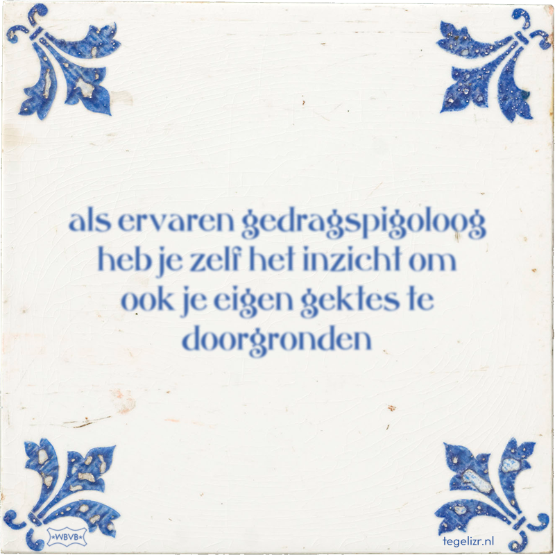 als ervaren gedragspigoloog heb je zelf het inzicht om ook je eigen gektes te doorgronden - Online tegeltjes bakken