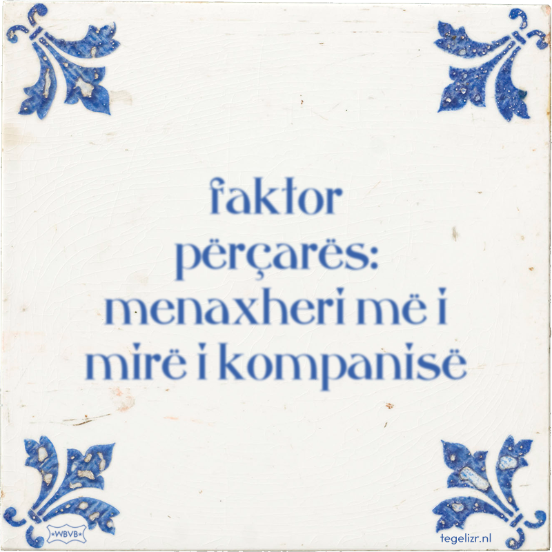 faktor përçarës: menaxheri më i mirë i kompanisë - Online tegeltjes bakken