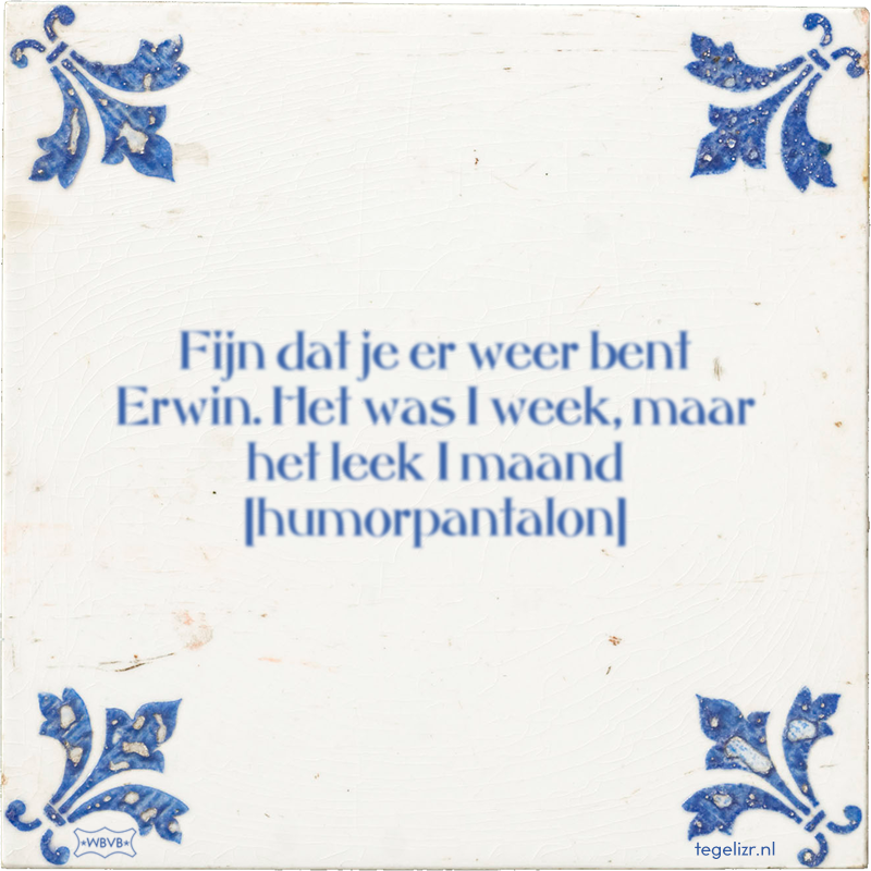 Fijn dat je er weer bent Erwin. Het was 1 week, maar het leek 1 maand humorpantalon - Online tegeltjes bakken