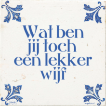 Wat ben jij toch een lekker wijf - 30 keer bekeken