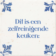 Dit is een zelfreinigende keuken: - 5 keer bekeken