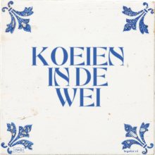 KOEIEN IN DE WEI - 2 keer bekeken