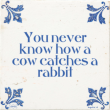 You never know how a cow catches a rabbit - 4 keer bekeken