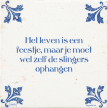 Het leven is een feestje, maar je moet wel zelf de slingers ophangen - 6 keer bekeken