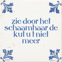 zie door het schaamhaar de kut u t niet meer - 3 keer bekeken