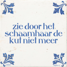 zie door het schaamhaar de kut niet meer - 4 keer bekeken