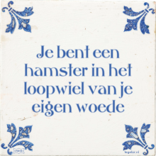 Je bent een hamster in het loopwiel van je eigen woede - 50 keer bekeken
